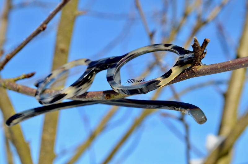 Schafhornbrille